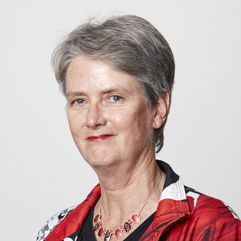 Distinguished Professor Dame Jane Harding
