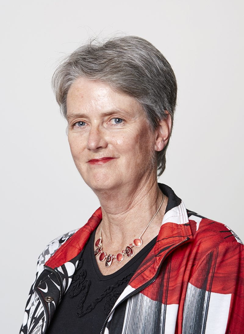 Distinguished Professor Jane Harding
